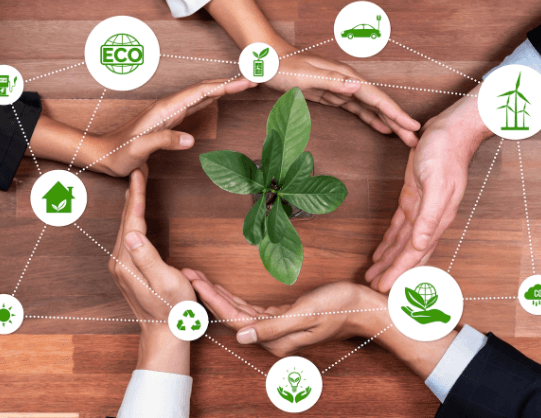 Sustainability-Driven Business Strategies: A Key to Long-Term Success