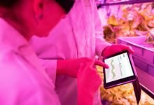 enhancing growth with technology