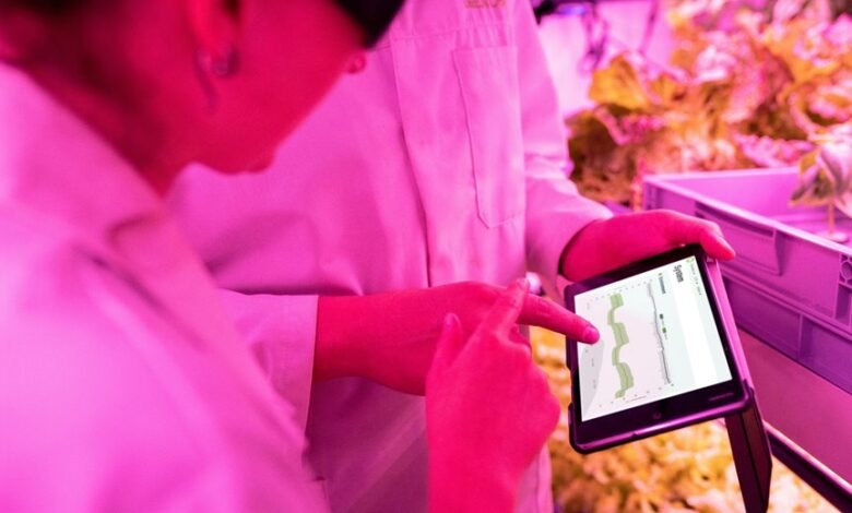 enhancing growth with technology