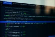 dynamic web suite identifier 366883300